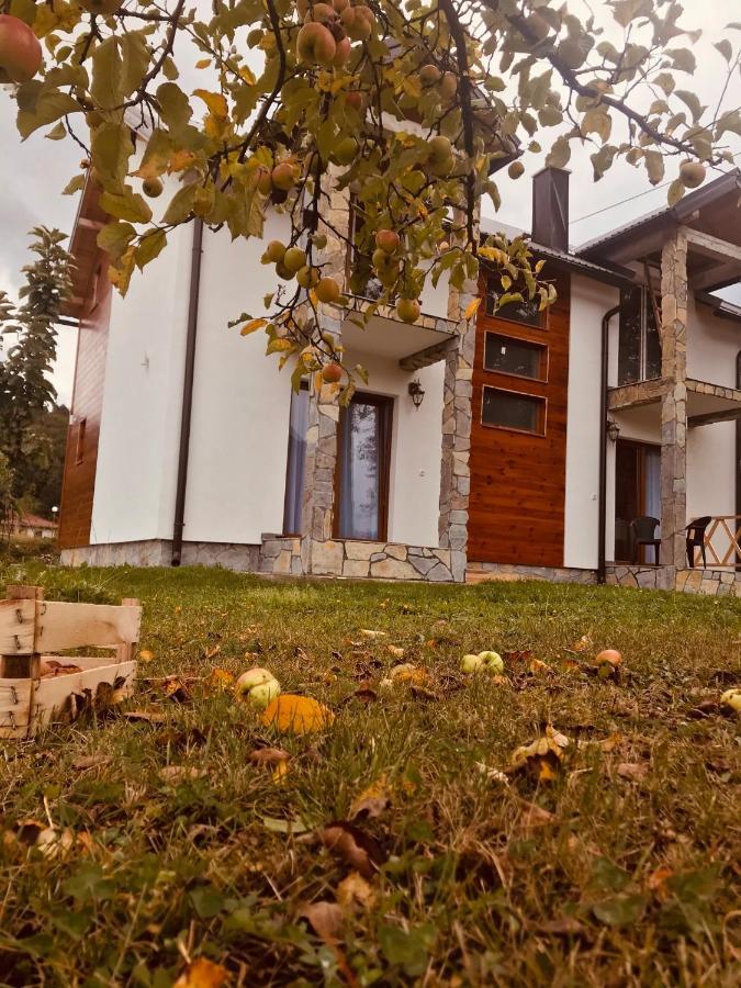 Vila Montenegrina Kolasin Exterior photo